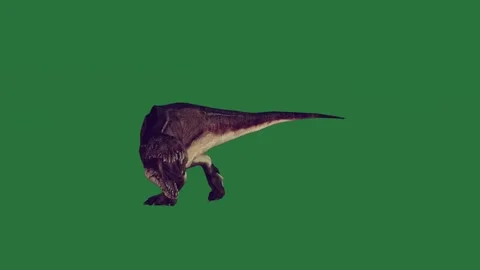 A bird flying through the air on green screen and in bat large animal walking Stock Footage 335147765