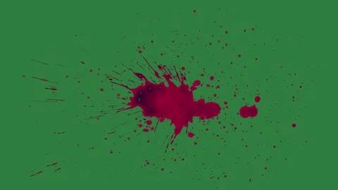 Bird Flying With Through - Chroma Key Green Screen Footage Stockbeeldmateriaal 338018233