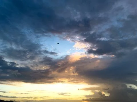 Bird Flying Through Dramatic Sunset Clouds Fotos de archivo