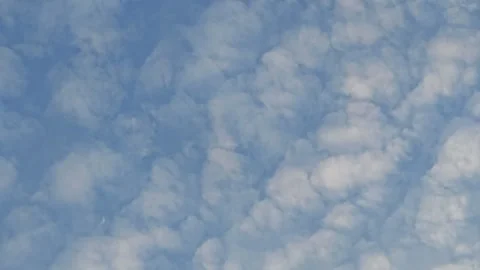 A bird flying through Stock Footage 286917100