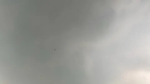 Bird flying through overcast stormy cloud shot from low angle viewpoint Stock Footage 346510733