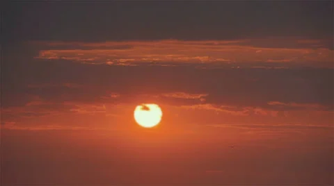 Bird flying toward sun during sunset Stock Footage 32847135
