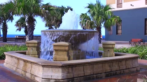 Bird flying into waterfall Stock Footage 142611617