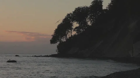 A Bird Flying By While Sunrise On Ocean Coast Of Rügen Island Stock Footage 36629073
