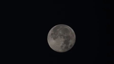 A bird flys across the full harvest Supermoon as seen from Hertford Heath, UK. Stock Footage 252010259