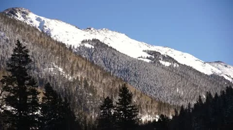 Bird flys over Snow-Covered Mountain Stock Footage 18132226