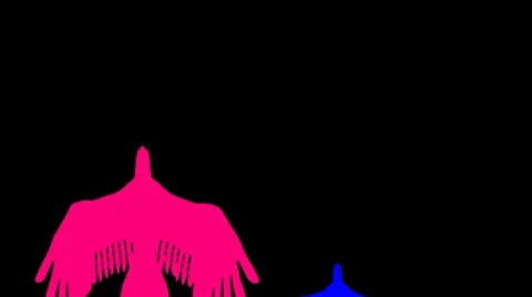 Bird Video stock 7765319