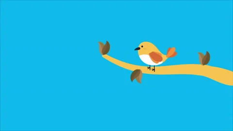 Bird Stock Footage 232196677