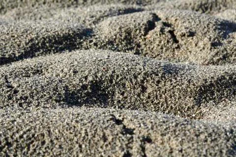 Bird footprints 스톡 사진
