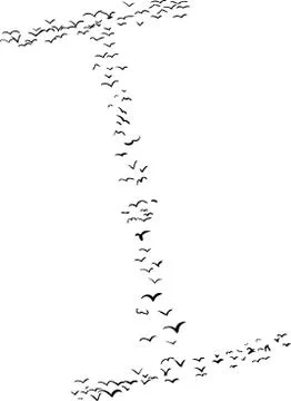 Bird Formation In I Stock Illustration