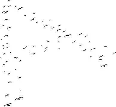 Bird Formation In A Stock Illustration