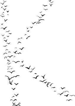 Bird Formation In K Stock Illustration