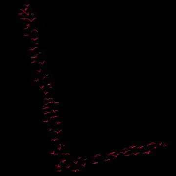 Bird Formation In L Stock Illustration