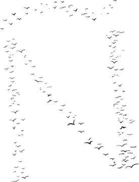 Bird Formation As N Tilde Stock Illustration