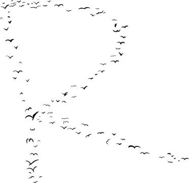 Bird Formation In R Stock Illustration