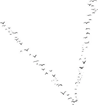 Bird Formation In V Stock Illustration
