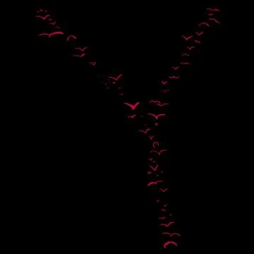 Bird Formation In Y Stock Illustration