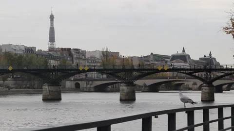 Bird in front of the Eiffel Tower. Paris, France. Stock Footage 142525425