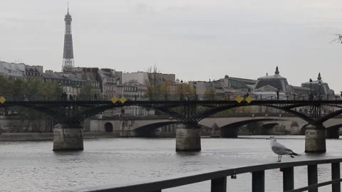 Bird in front of the Eiffel Tower. Paris, France. Stock Footage 142525427