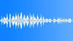 BIRD GEESE CHINESE HONK AGITATED01 Sound Effect