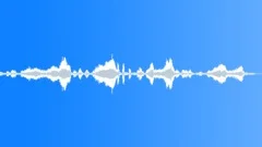 BIRD GEESE CHINESE HONK01 Sound Effect