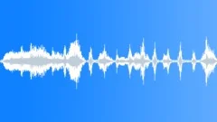BIRD GEESE CHINESE HONK05 Sound Effect