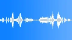 BIRD GEESE CHINESE HONK06 Sound Effect