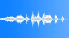 BIRD GEESE CHINESE HONK14 Sound Effect