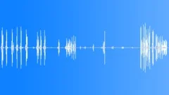 BIRD, GEESESound Effect