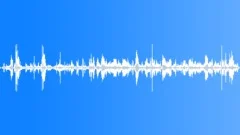 BIRD, GEESE Sound Effect