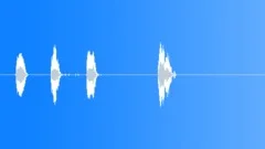 BIRD, GOOSE Sound Effect