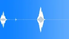 BIRD, GOOSE Sound Effect