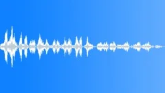 BIRD, GOOSE Sound Effect