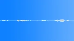 BIRD, GOOSE Sound Effect