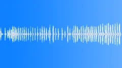 BIRD, GOOSE Sound Effect