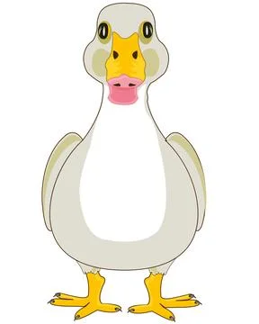Bird goose type frontal on white background is insulated Stock Illustration