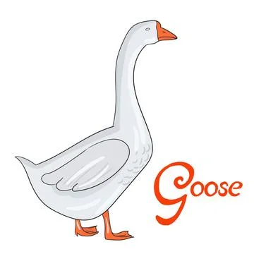 Bird goose vector illustration Stock Illustration