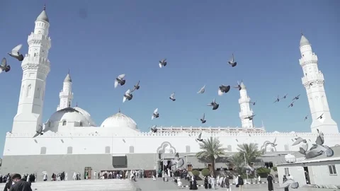 Bird gracefully glides across the frame in front of Quba mosque Stock Footage 242600115