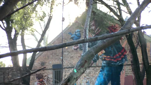 Bird Graffiti Stock Footage 132554346