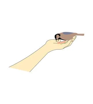 Bird in the hand Stock Illustration