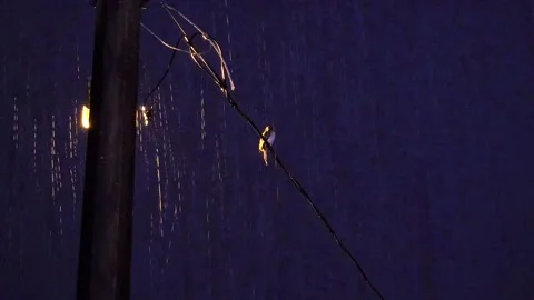 Bird Hanging on a Power Line Cable at Night with Thunder and Rain Stock Footage 237684991