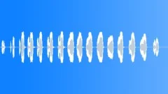 BIRD, HAWKSound Effect