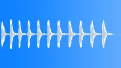 BIRD, HAWKSound Effect