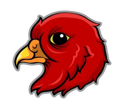 Bird Head Stock Illustration