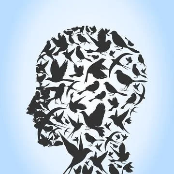 Bird a head Stock Photos