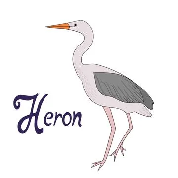 Bird heron vector illustration Stock Illustration