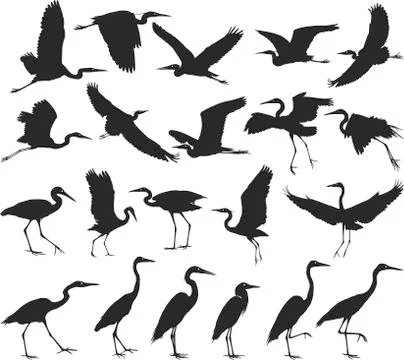 Bird - herons Stock Illustration