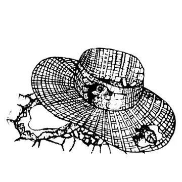 The bird hid in a straw hat  hand drawn in vintage style vector Stock Illustration