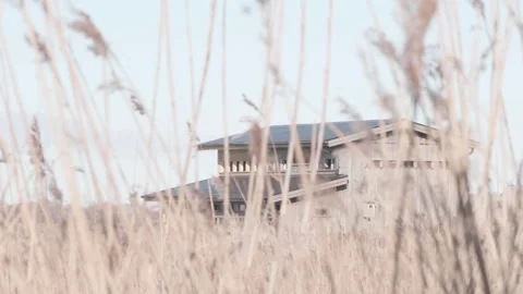 Bird Hide for Bird watching Seen Behind Reeds, Establishing Shot Stock Footage 255000932