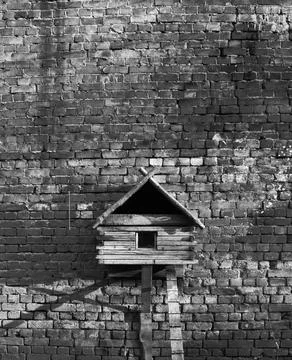 Bird home Stockfoto's